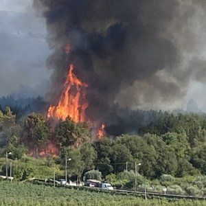 Waldbrand in Portugal