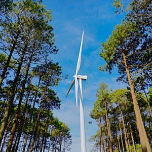 Größter Windpark in Portugal