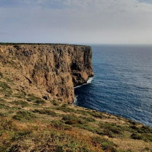 Medium 'Klippen in Sagres' im Album 'Portugal und vor allem Costa Vicentina im Dezember 2024'