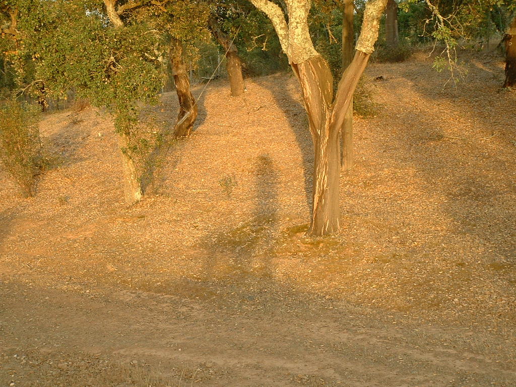 4855011.jpg