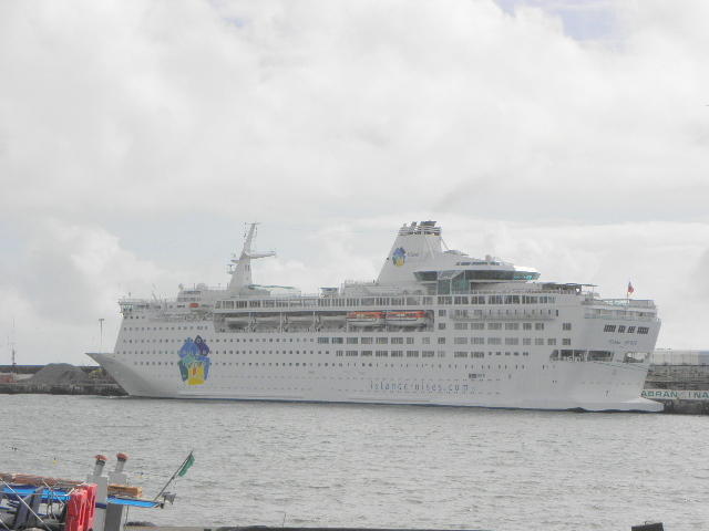 3771669.jpg