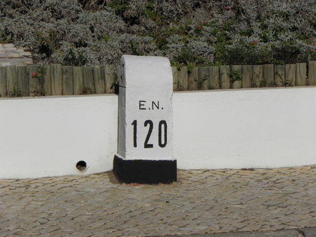 4719931.jpg