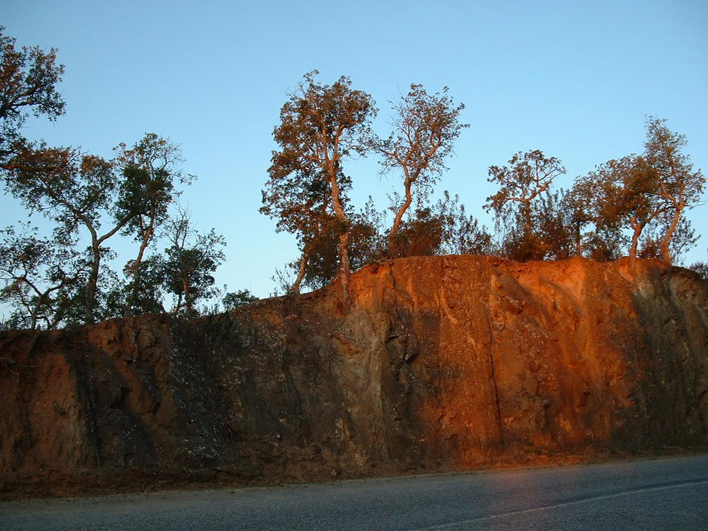 4840811.jpg