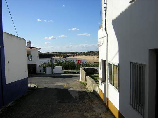3551354.jpg