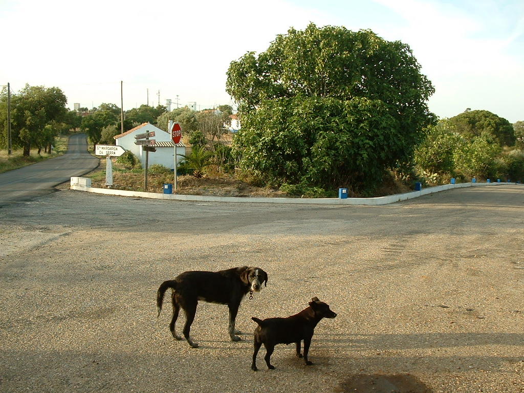 4854208.jpg