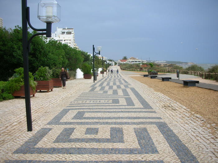 2954771.jpg