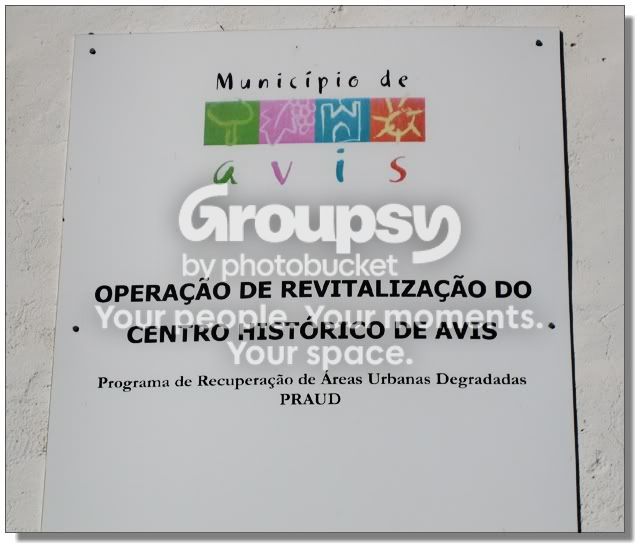 Avis640_005.jpg