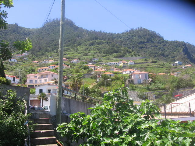 2386254.jpg
