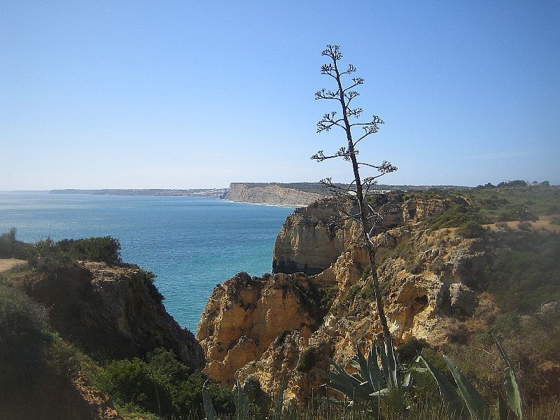 algarve_2014_243.jpg
