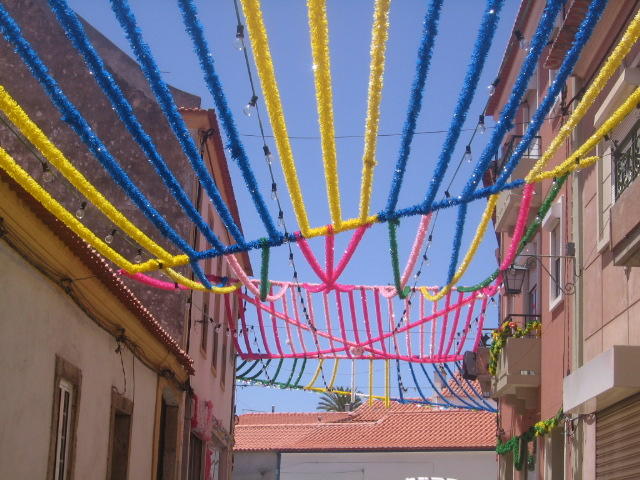 2452255.jpg