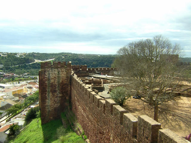 3759092.jpg