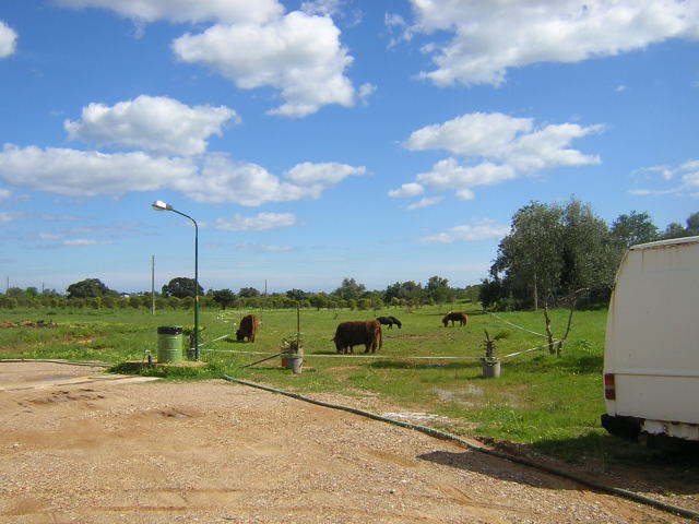 7201310djk.jpg