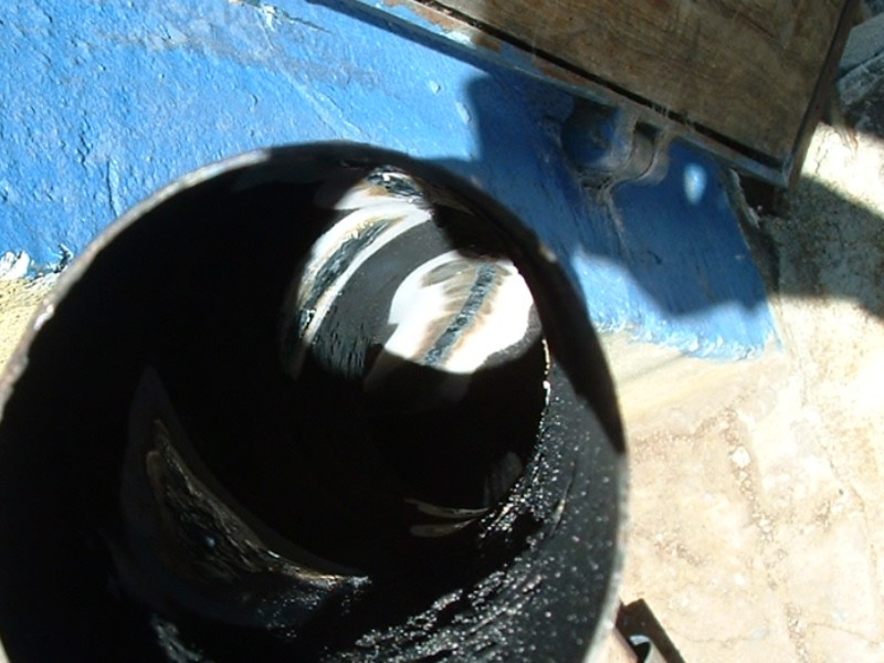4849136.jpg