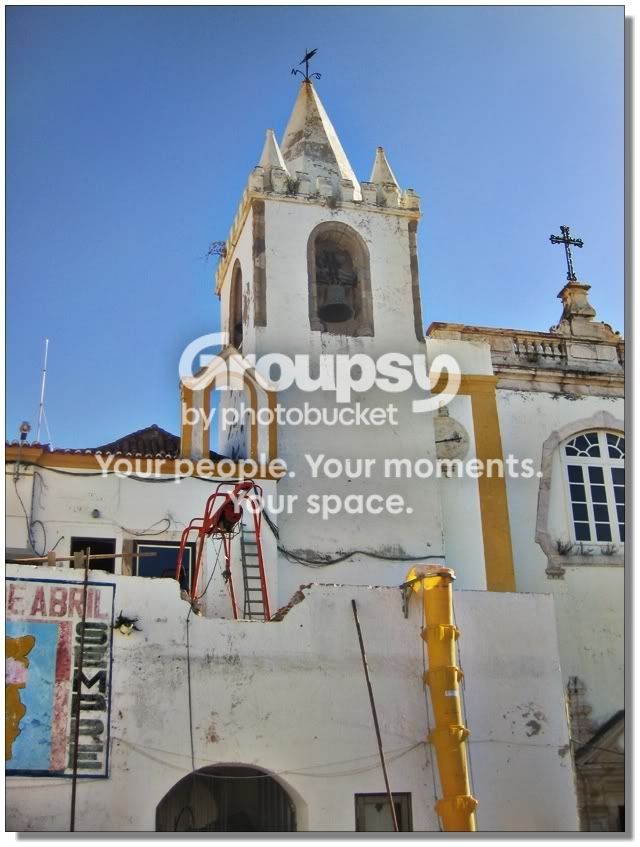 Avis640_006.jpg
