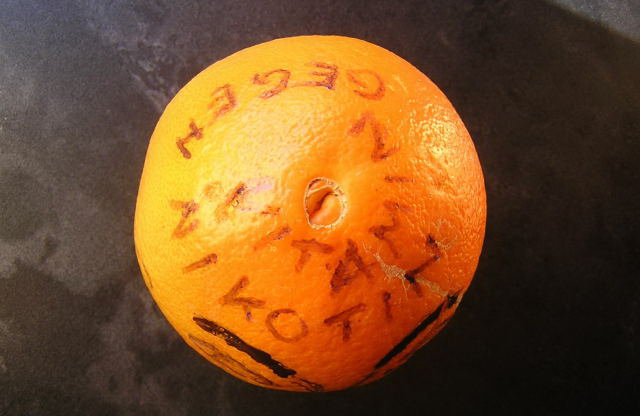 6248903yuo.jpg