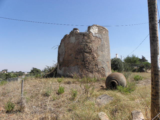 5030420.jpg