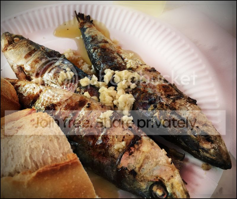 sardinhas-saojoo2016_zpsgqusme5x.jpg