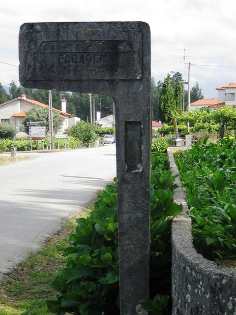 4619125.jpg