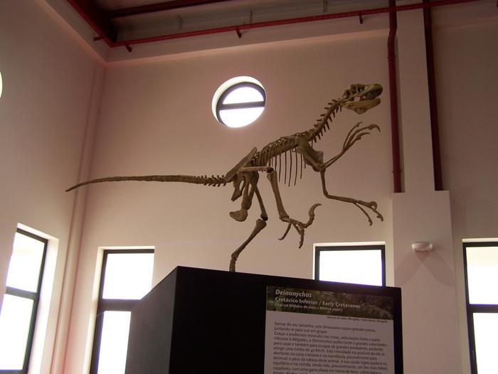 4171320.jpg