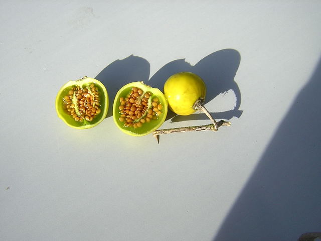 8983505wjn.jpg