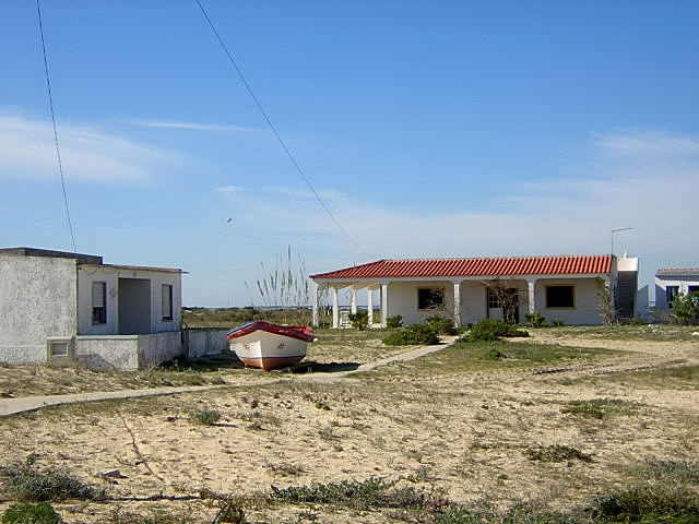 6249220lyx.jpg