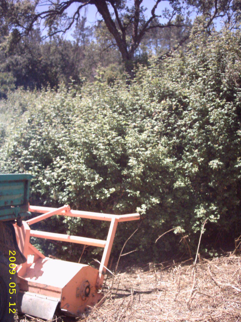 8052194bnj.jpg