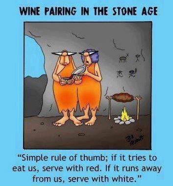 WinePairingStoneAge_zpsivufkiqj.jpg