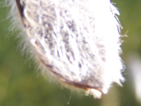 2858090.jpg