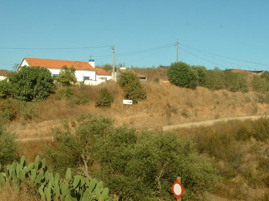 4923445.jpg