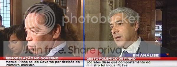 pinho3-1.jpg