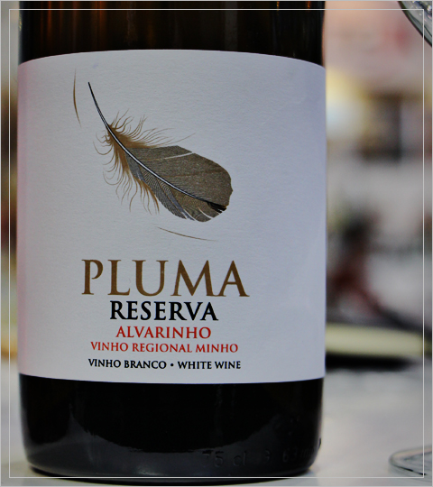 Pluma.jpg