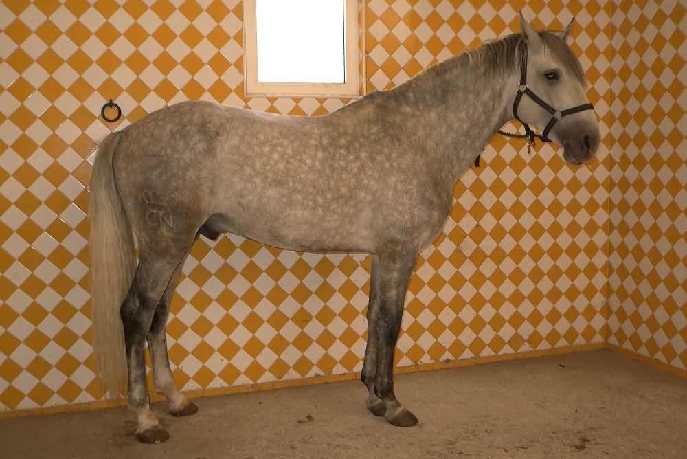 34643674cj.jpg