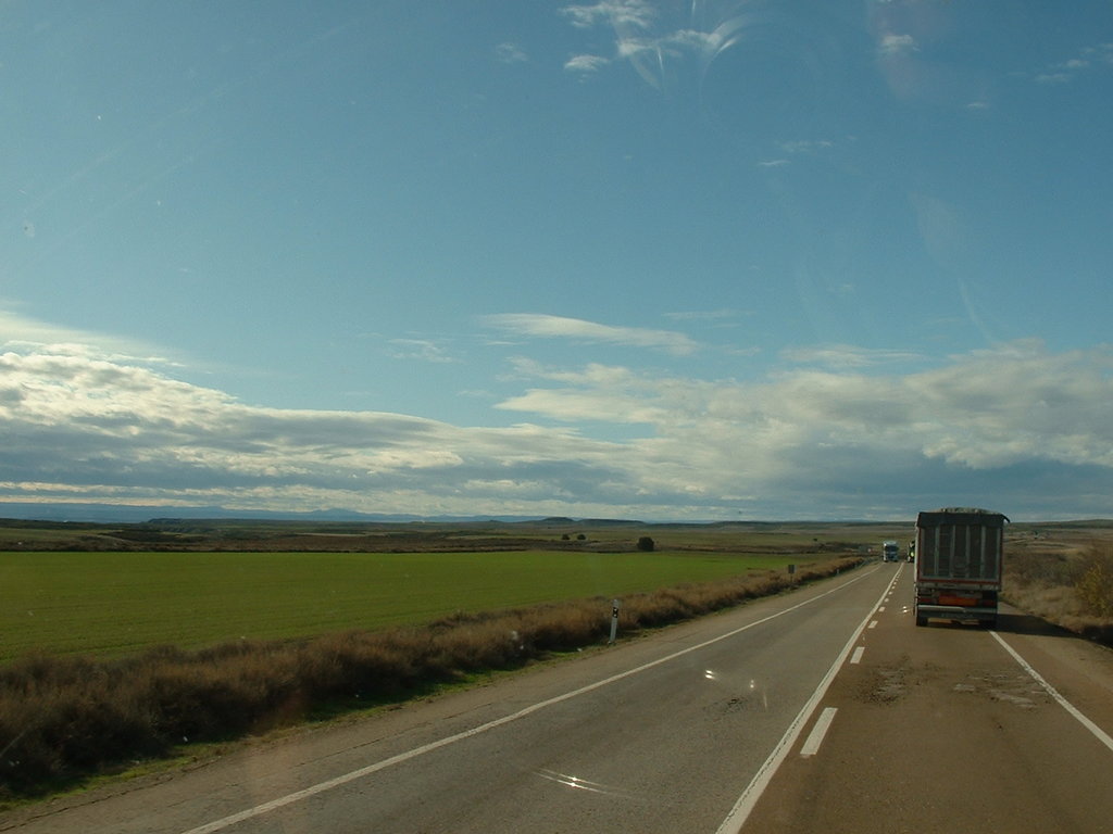 38540154gi.jpg