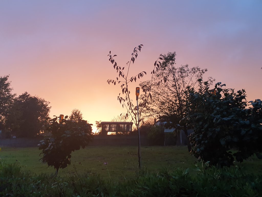 39809083en.jpg