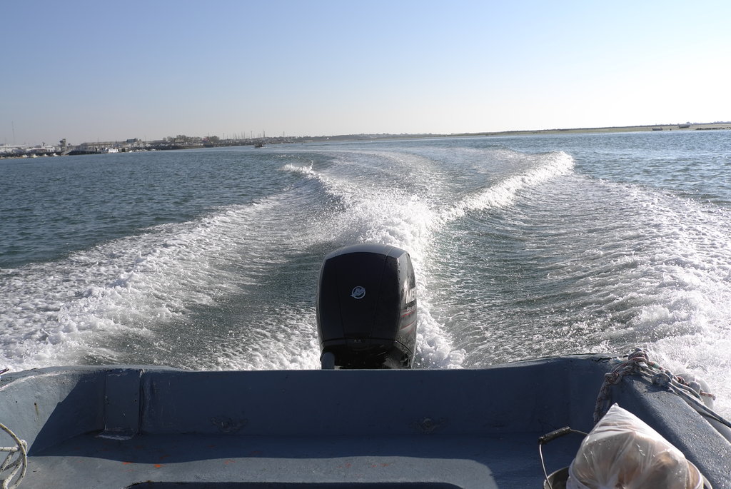 41754146xf.jpg