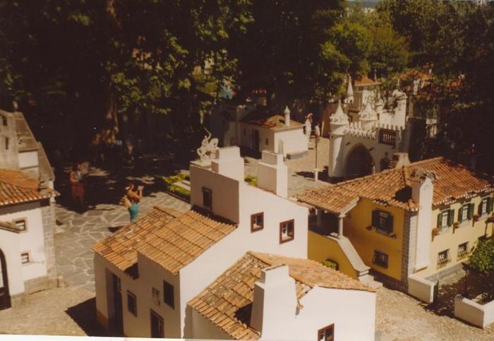 1954453.jpg