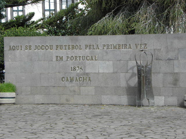 5317898.jpg