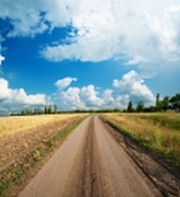 11613959-STANDARD.jpg