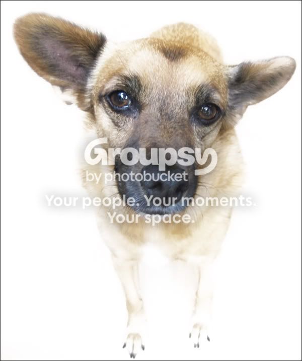 Boneca03.jpg