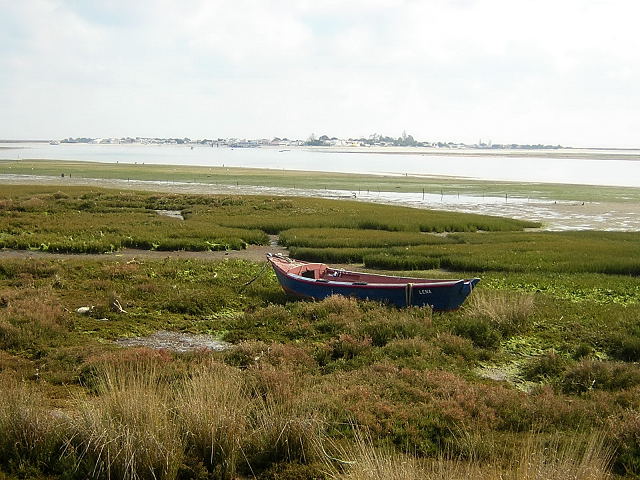 7201045aws.jpg