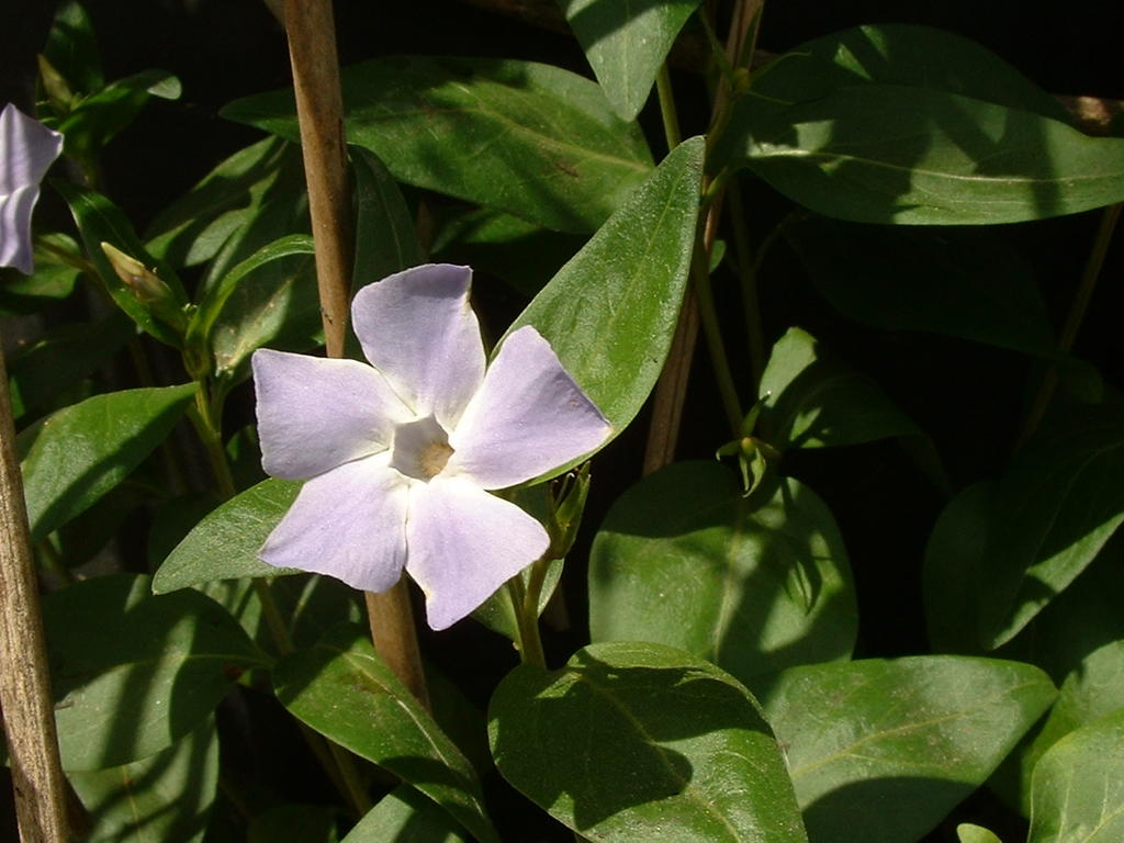 4840715.jpg