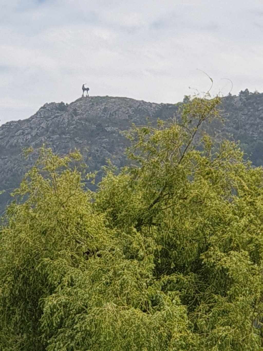 35924027sk.jpg