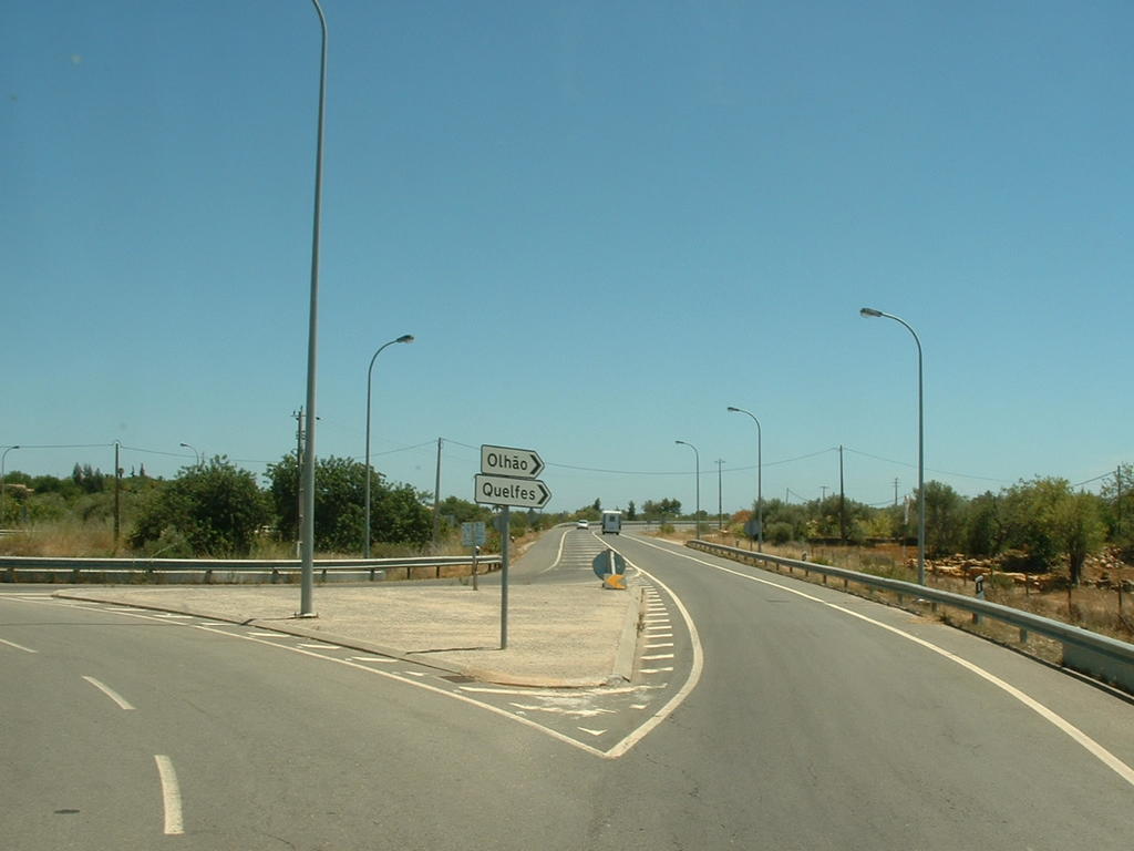 4923354.jpg