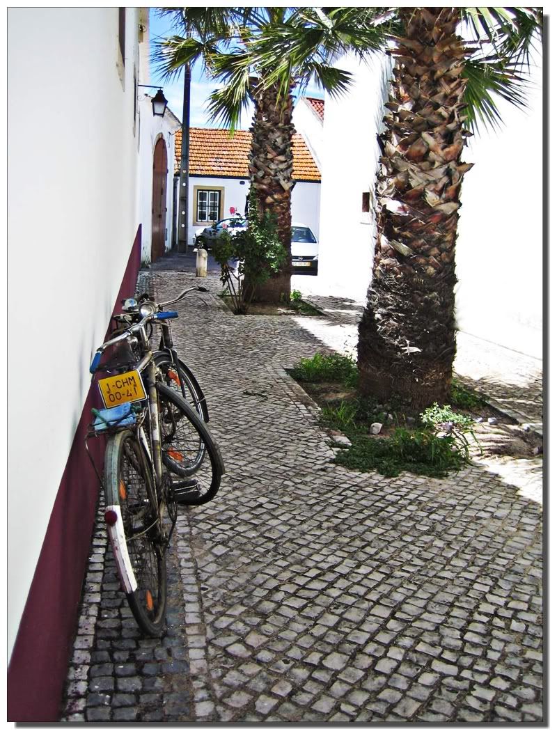Chamusca09.jpg