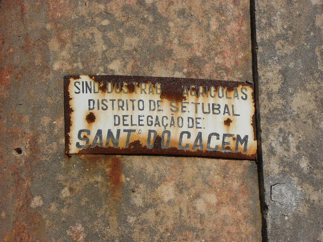 5033478.jpg