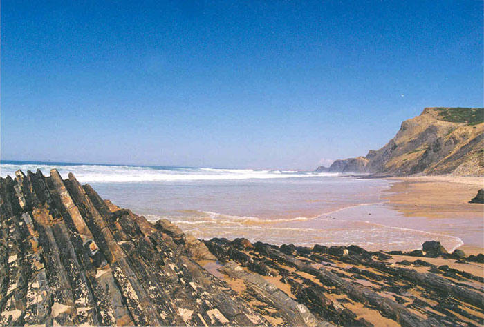 1920013.jpg