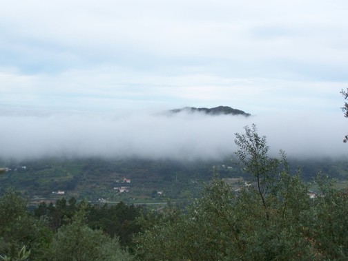 4257326.jpg