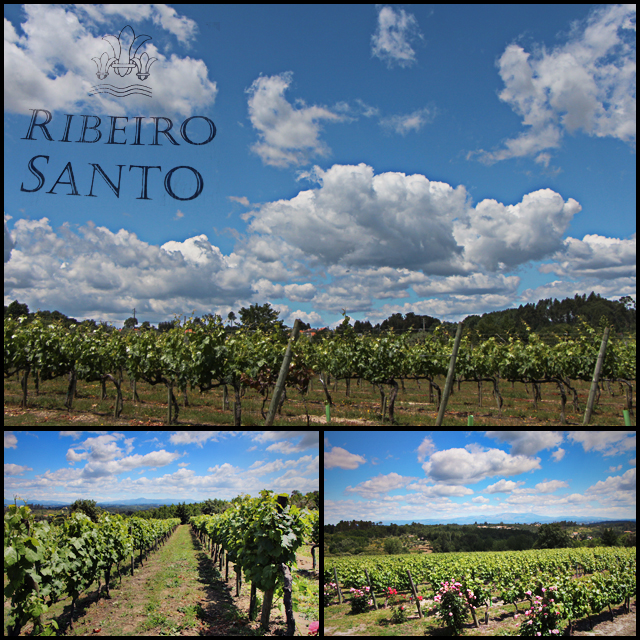 Ribeiro_Santo640_01_zpsd86b792b.jpg