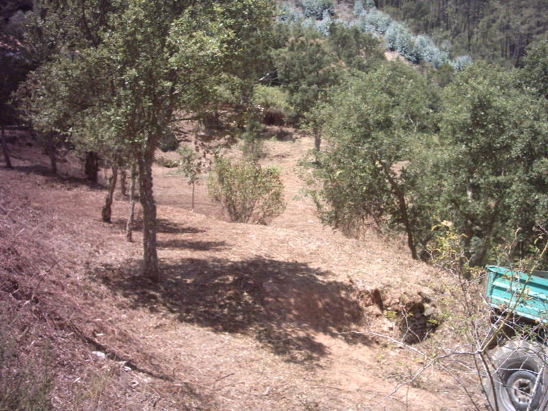 8052195aid.jpg