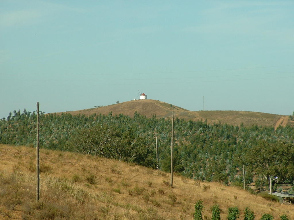 4943231.jpg